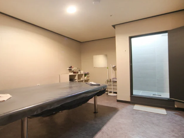 엔젤테라피 사진