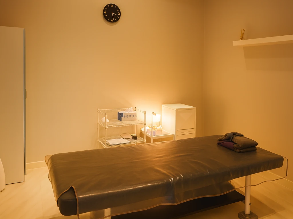 샾잉스웨디시 사진